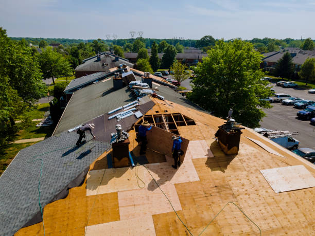 Trusted Storm Damage Roof Repair service in Hobart, WA - Brentwood Metal Roofing
